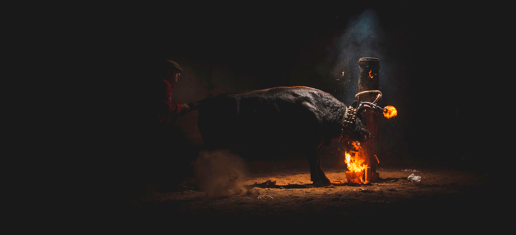 I am against the cruel traditions I am against the cruel traditions
