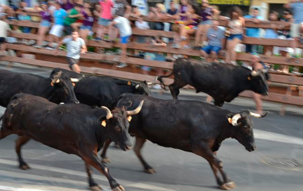 Running of the bulls Running of the bulls