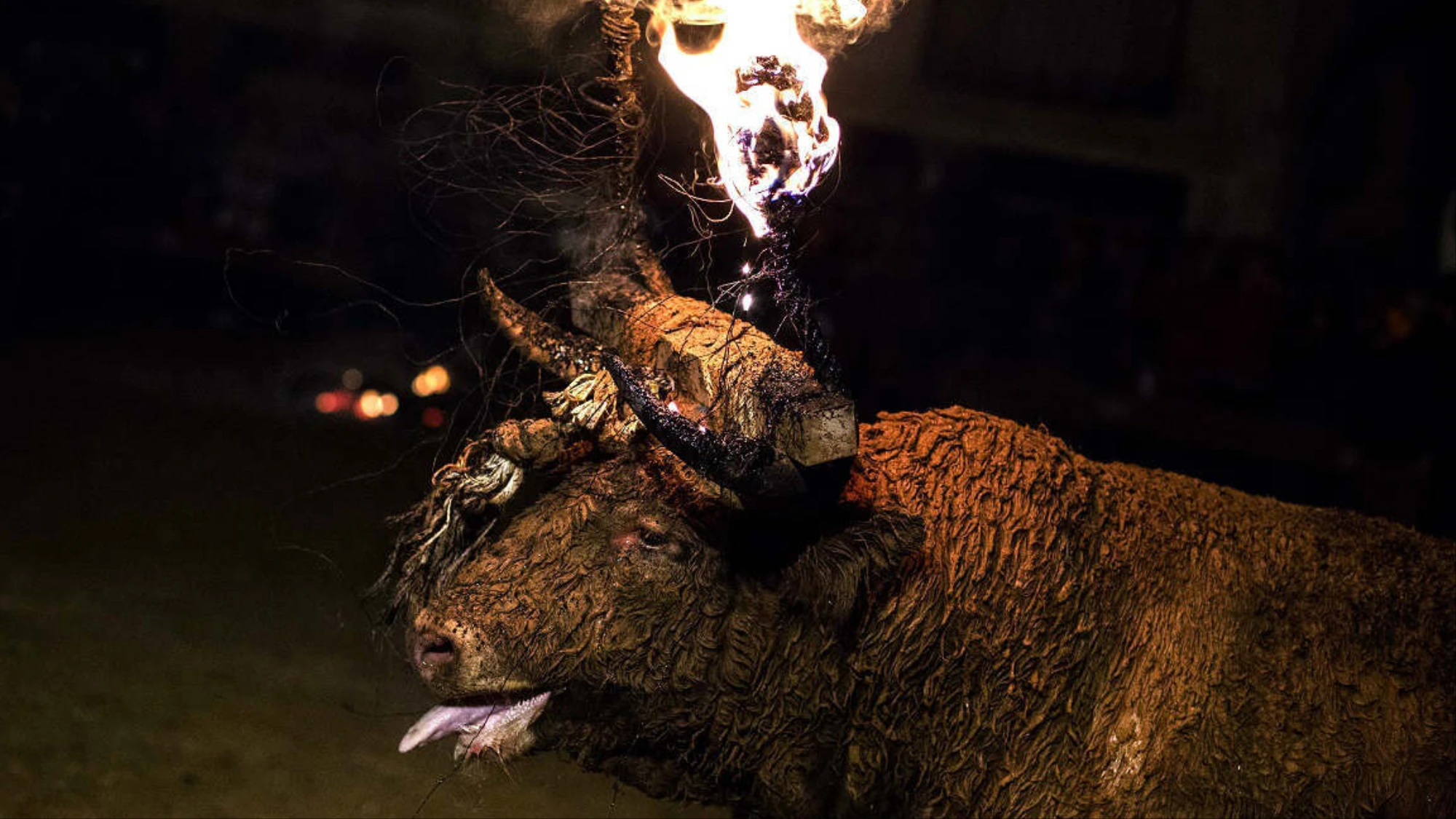 Toro de Jubilo de Medinaceli